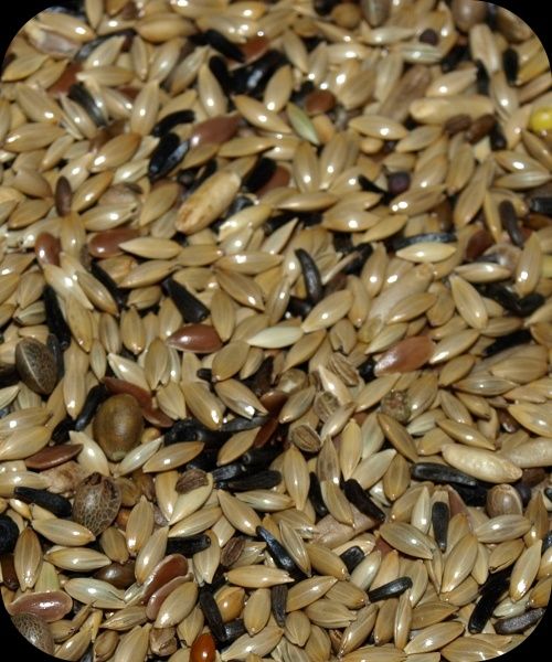 Deli Nature 80 Mieszanka dla kanarka Premium bez rzepiku 20 kg (Mozaik