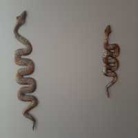 Drewniane węże ozdoba na ścianę