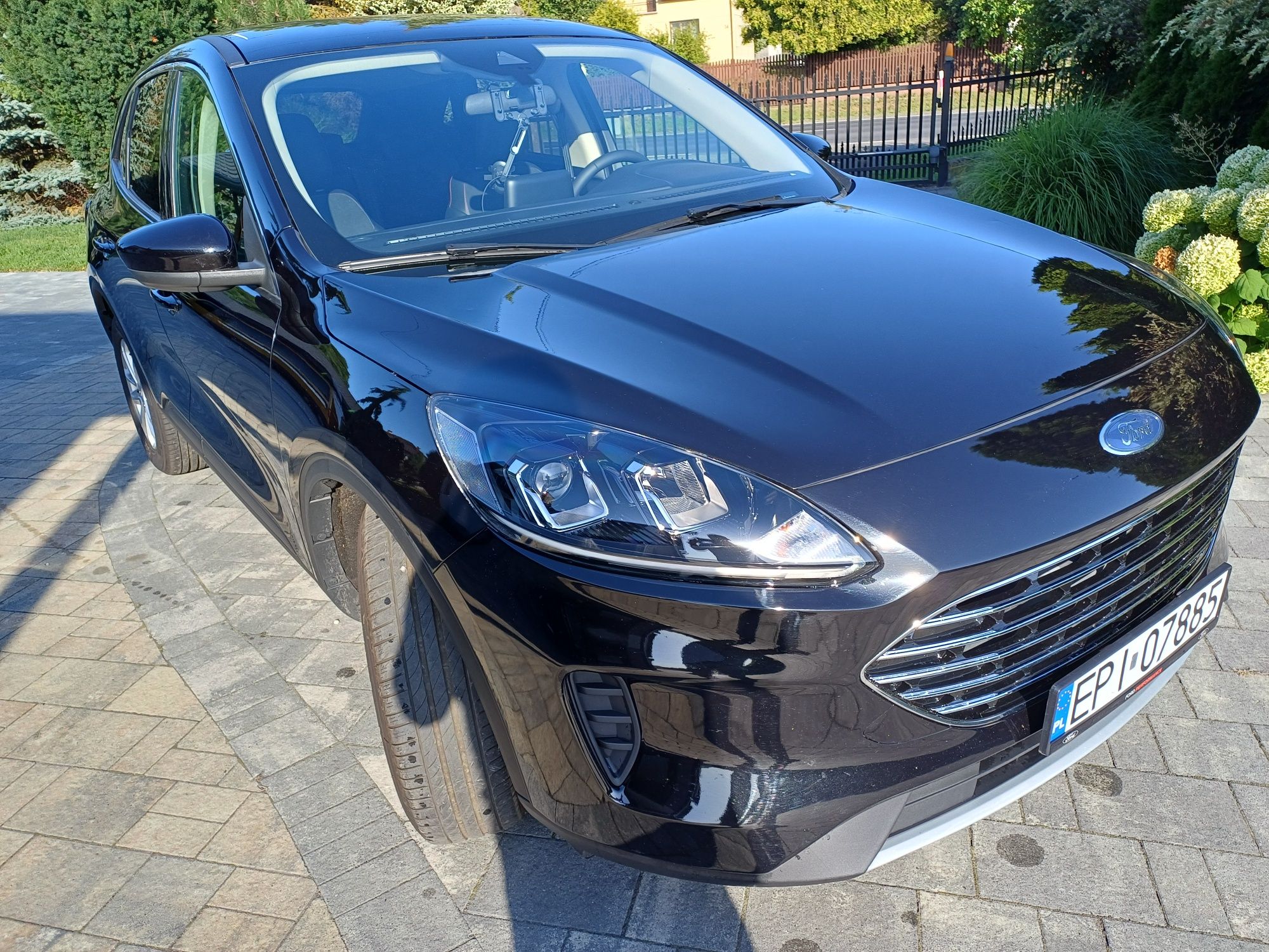 Sprzedam Forda escape, kuga