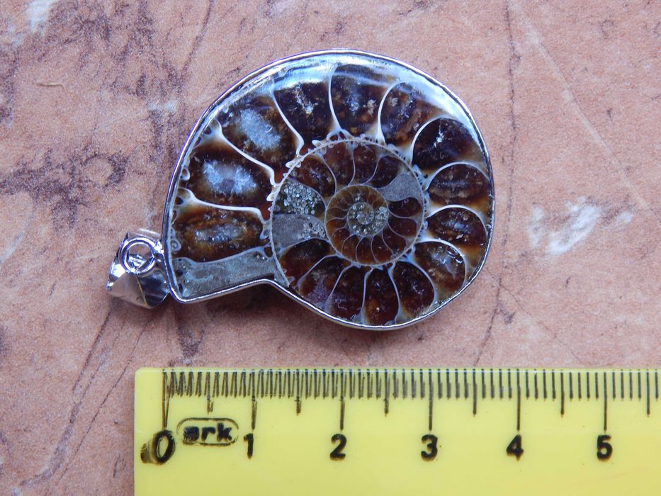Амоніт кулон мушля, аммонит ракушка, окаменелость натуральный камень