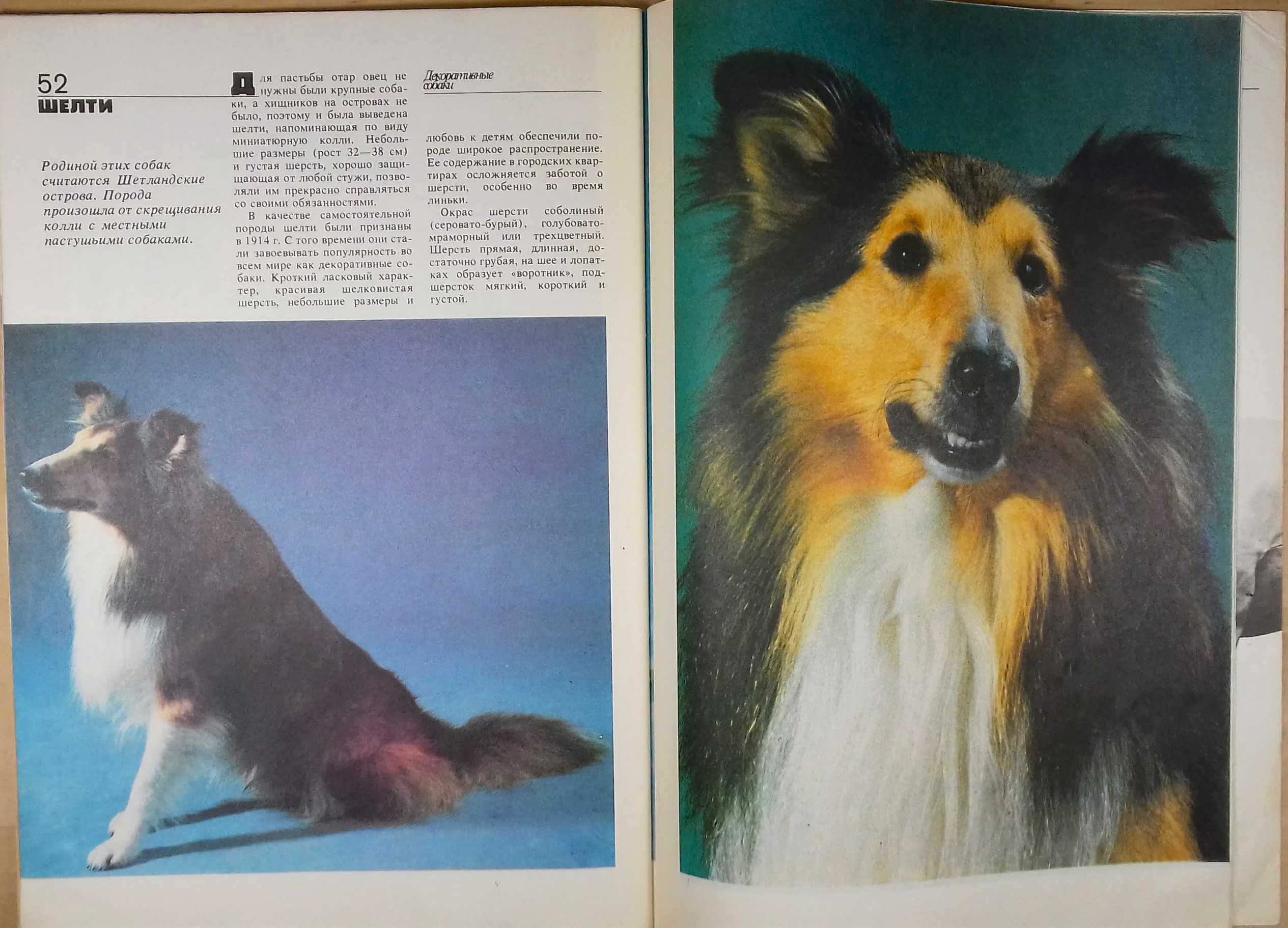 Книга-Альбом Т.Н.Никулина, Ж.А.Чеснокова "Декоративные собаки" 1989