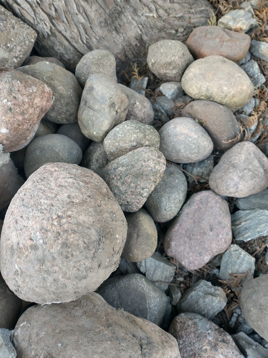 Kamienie polne różnej wielkości że skalniaka