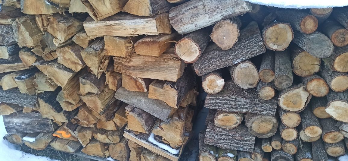 Drzewo kominkowe Brzoza osika sosna lipa