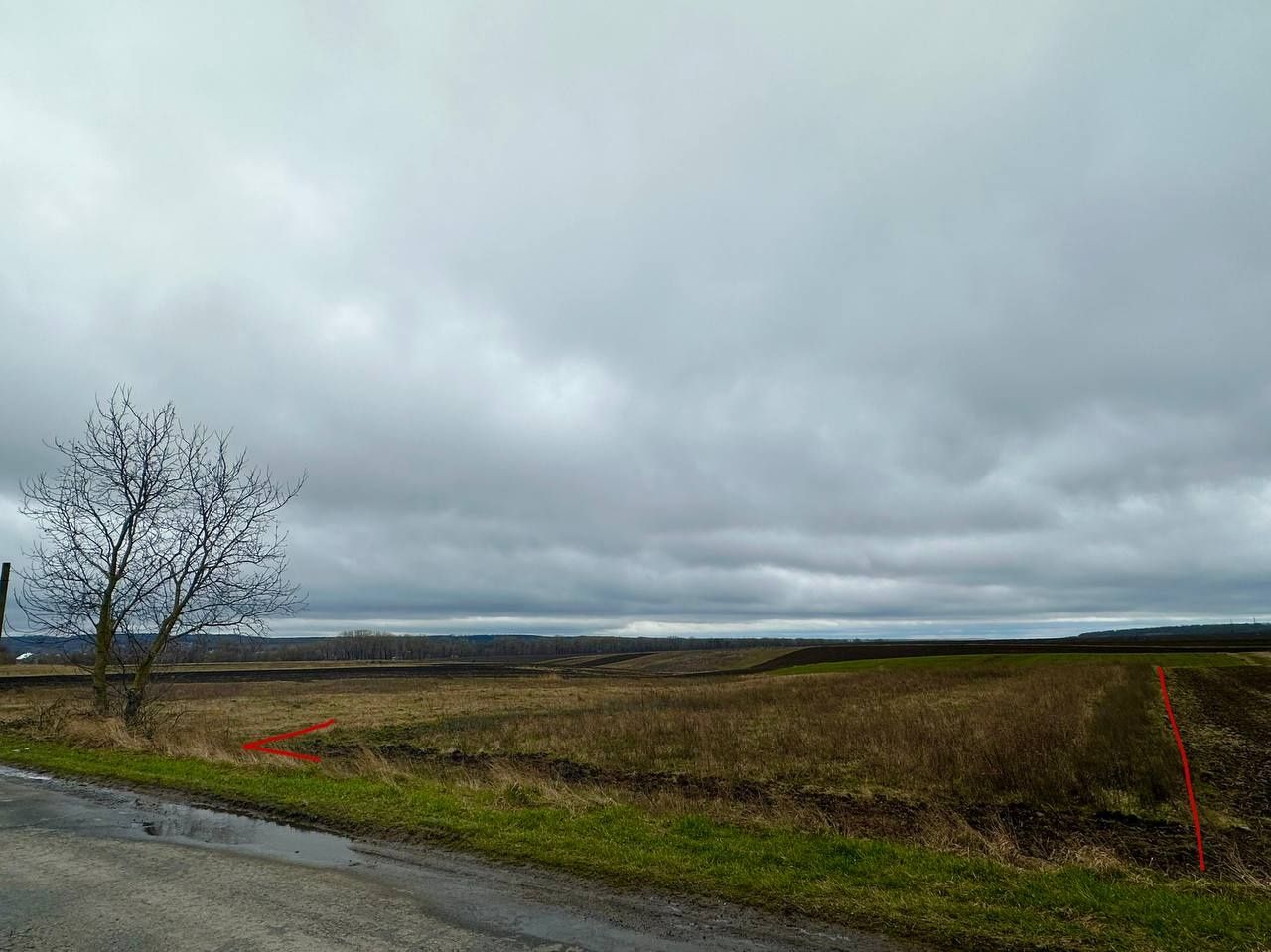 Продам земельну ділянку в Пирогівцях під забудову