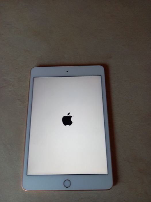 iPad mini 5 64G GOLD satan bardzo dobry