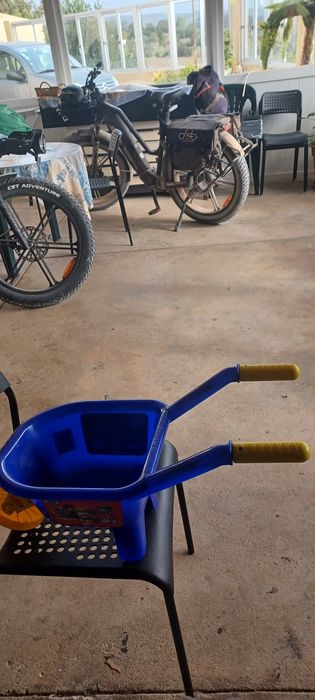 Carrinho de Mão Patrulha Pata