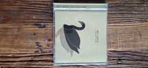Bert Jansch The Black Swan CD
