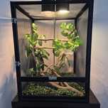 Sprzedam terrarium