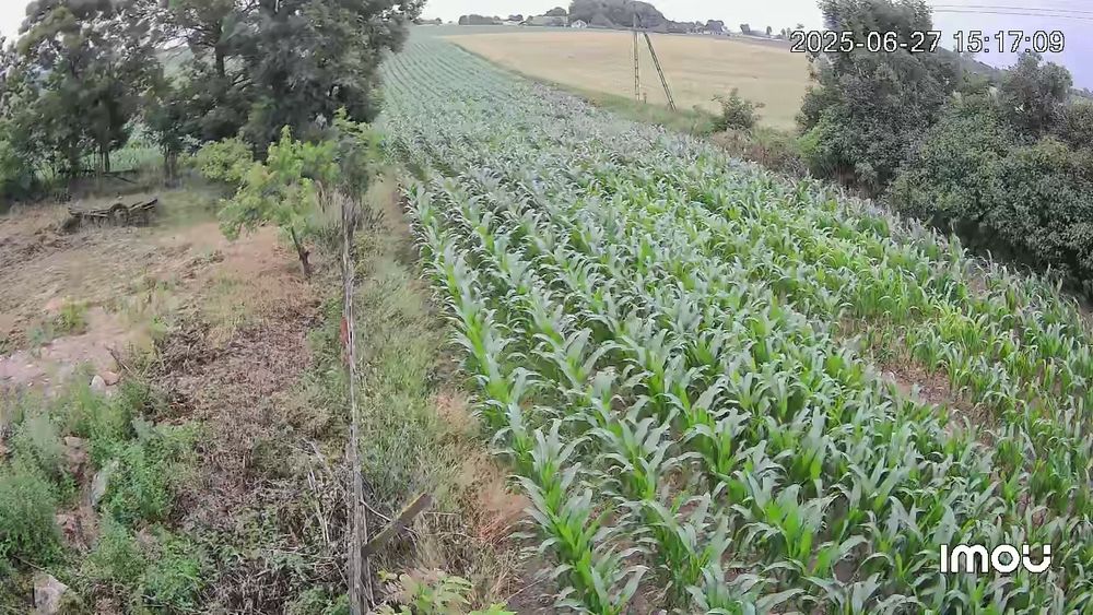 Sprzedam gospodarstwo rolne