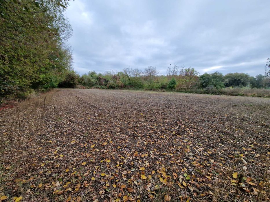 Продам дачну ділянку або здача землі в оренду.