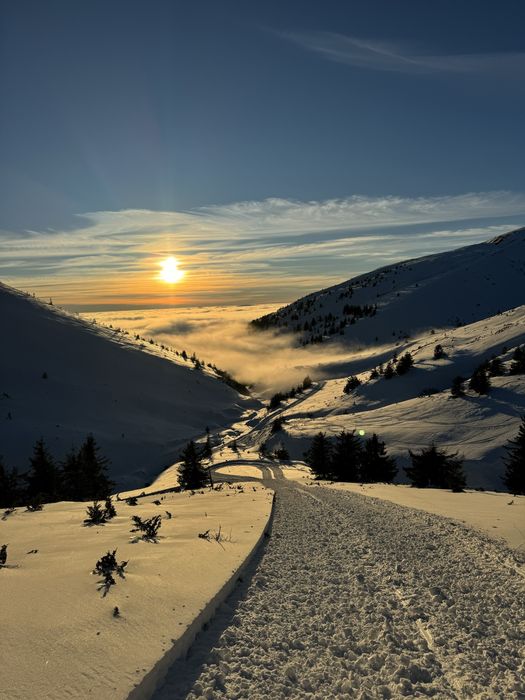 Катання на снігоходах. Драгобрат