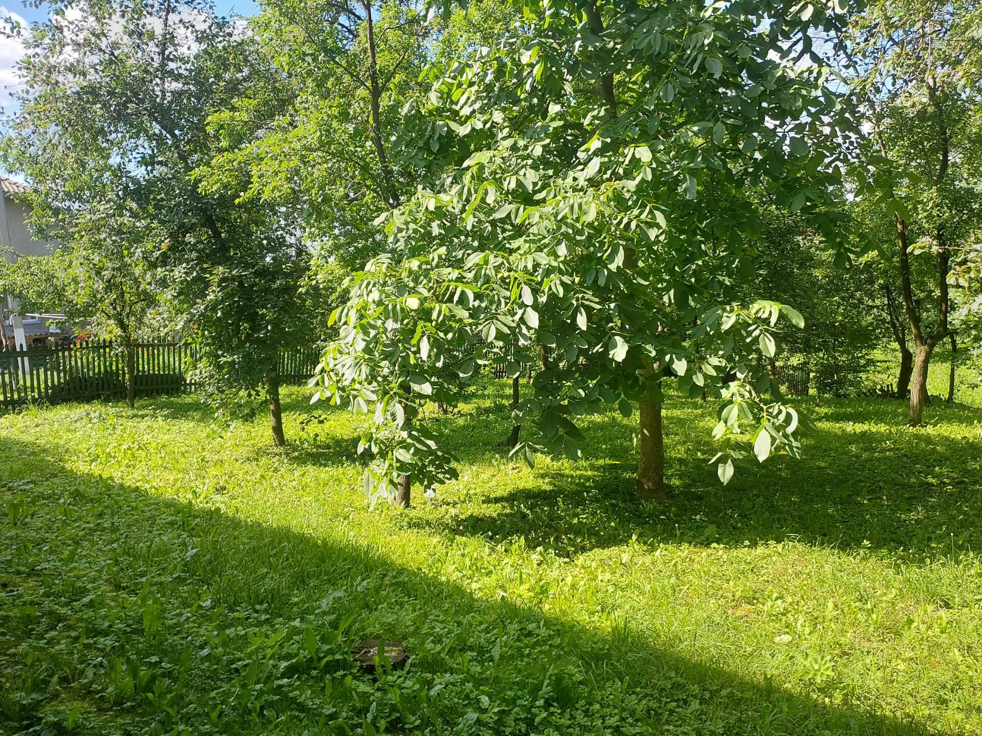 Будинок дерев'яний в селі