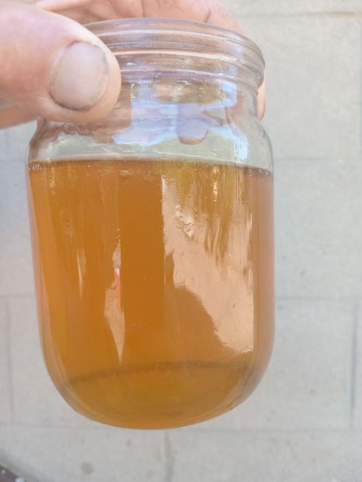 Мед травневий+акація 2025р - 230 грн за 1 л