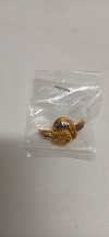 Pin dos Paraquedistas