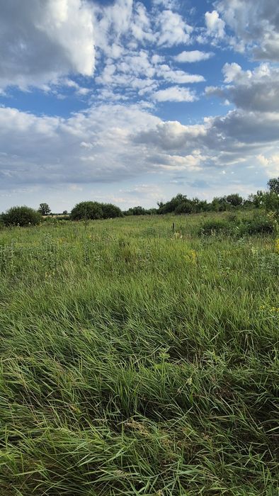 Краща ціна! 13 000 $ за ділянку біля відомого кооперативу “Вега”