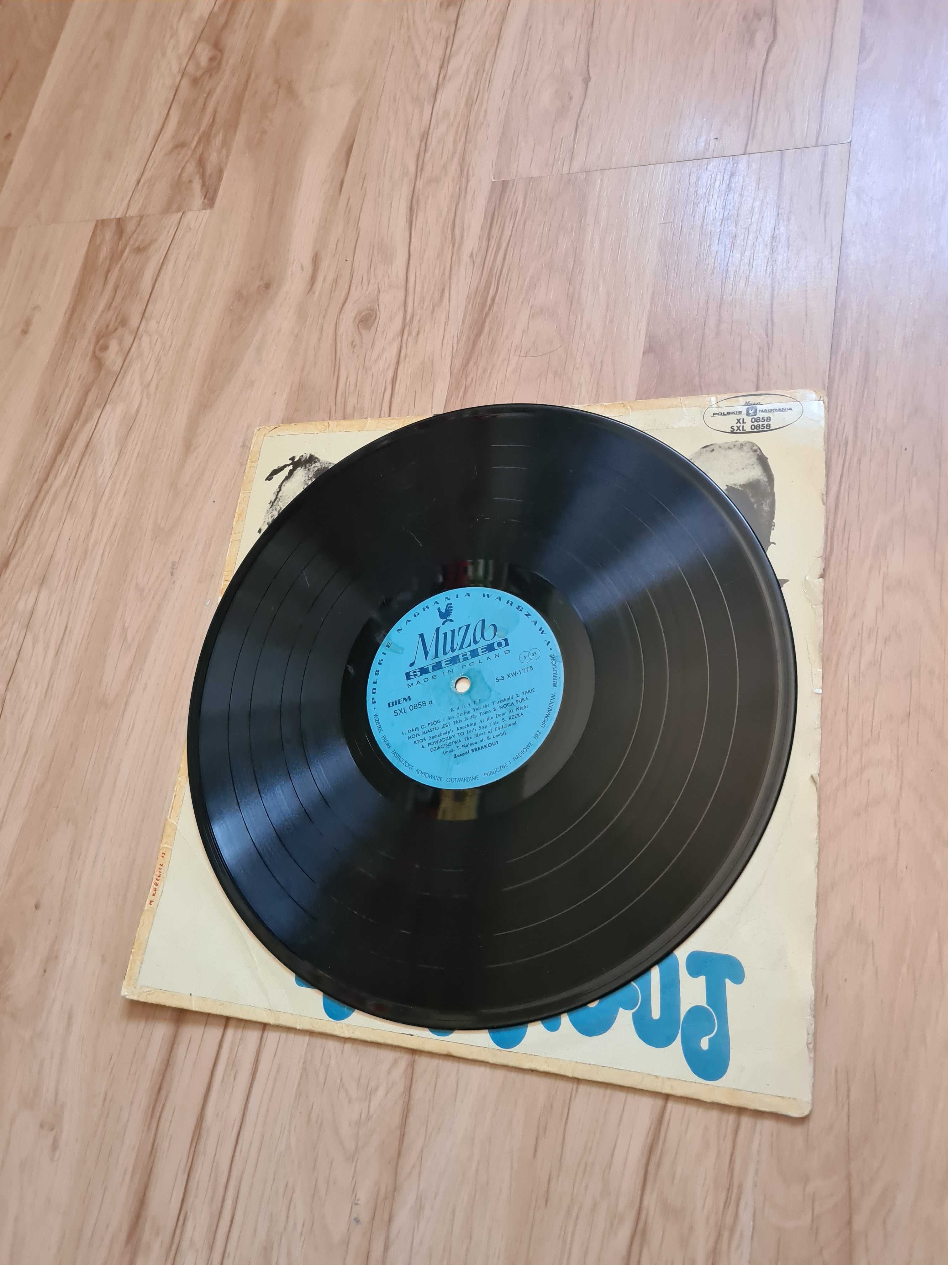 Breakout Karate 1972 LP Winyl unikat