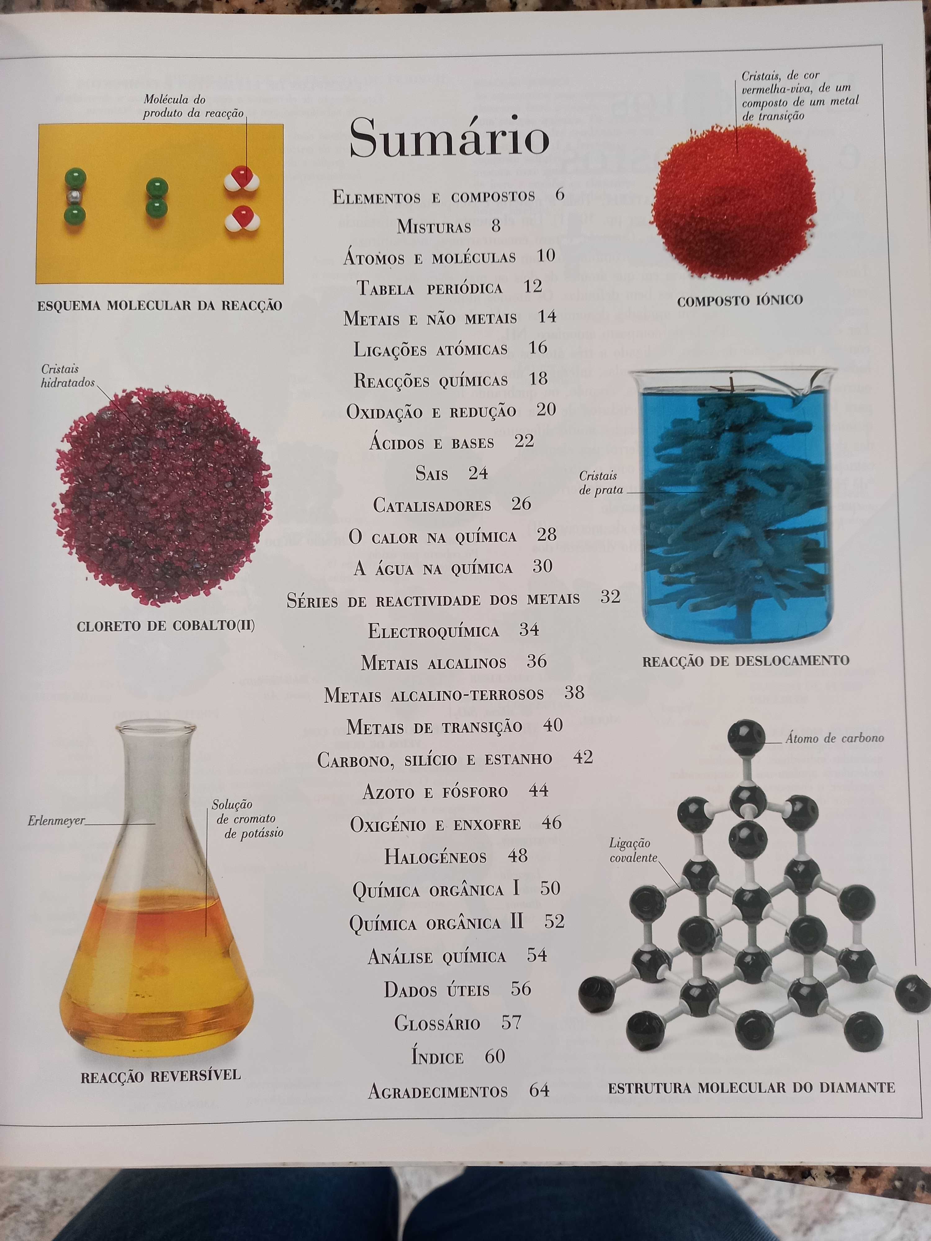 Livro/ dicionário visual da química