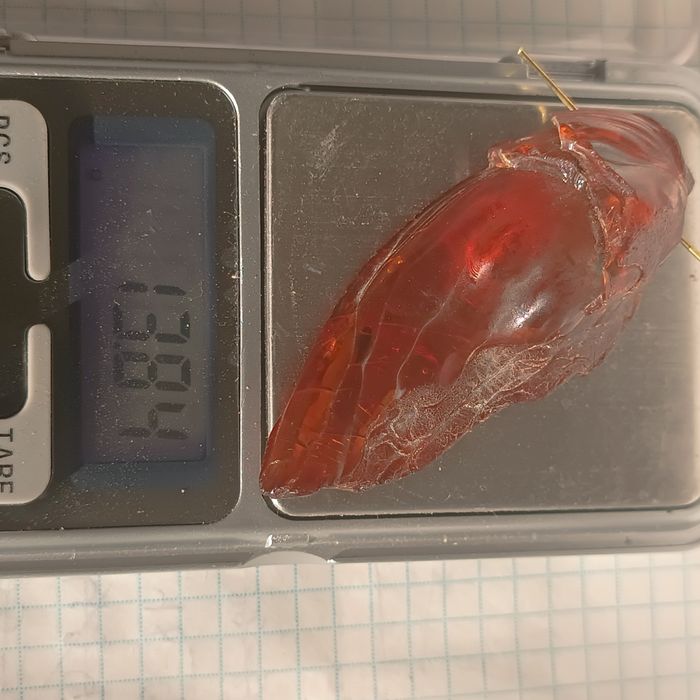 Великий янтарний кулон.