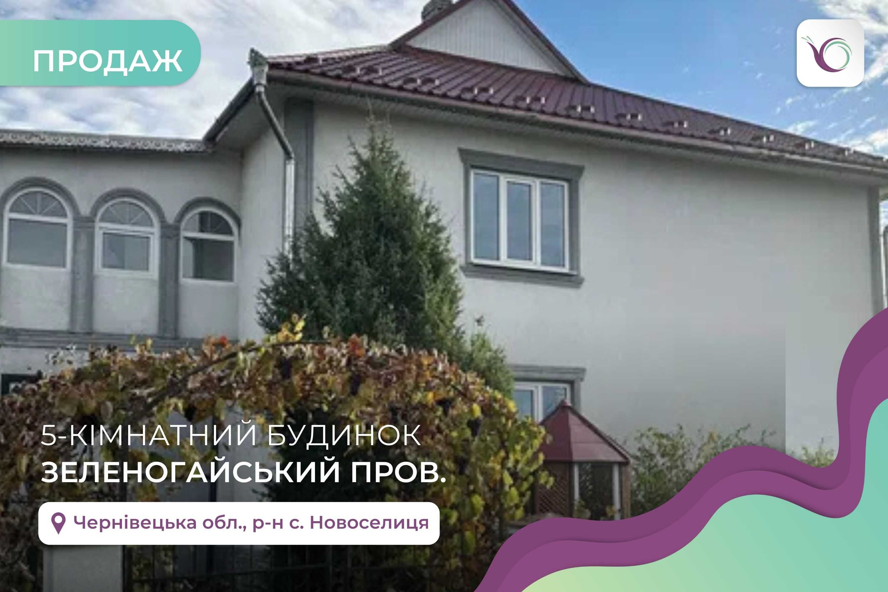Будинок 215 м2 та земельна ділянка 20 соток в Новоселиці