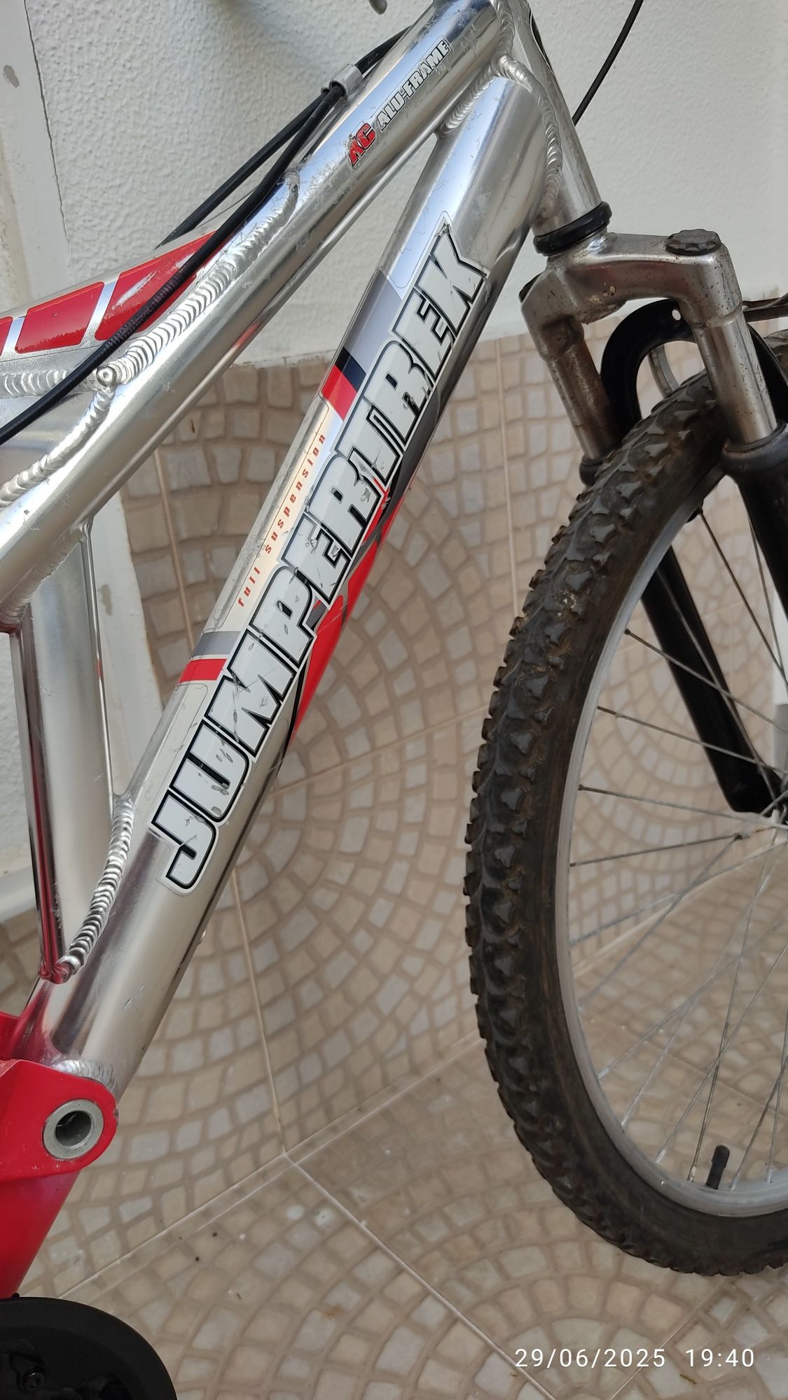 Bicicleta de montanha