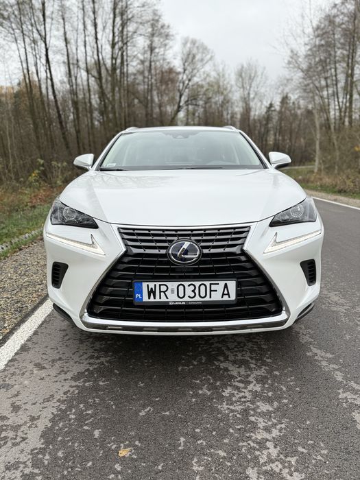 Lexus NX300H/Salon Polska/ jeden właściciel/ igła x6 x4 rav4 jeep