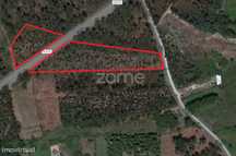 Terreno rústico com 7200M2 - Cantanhede