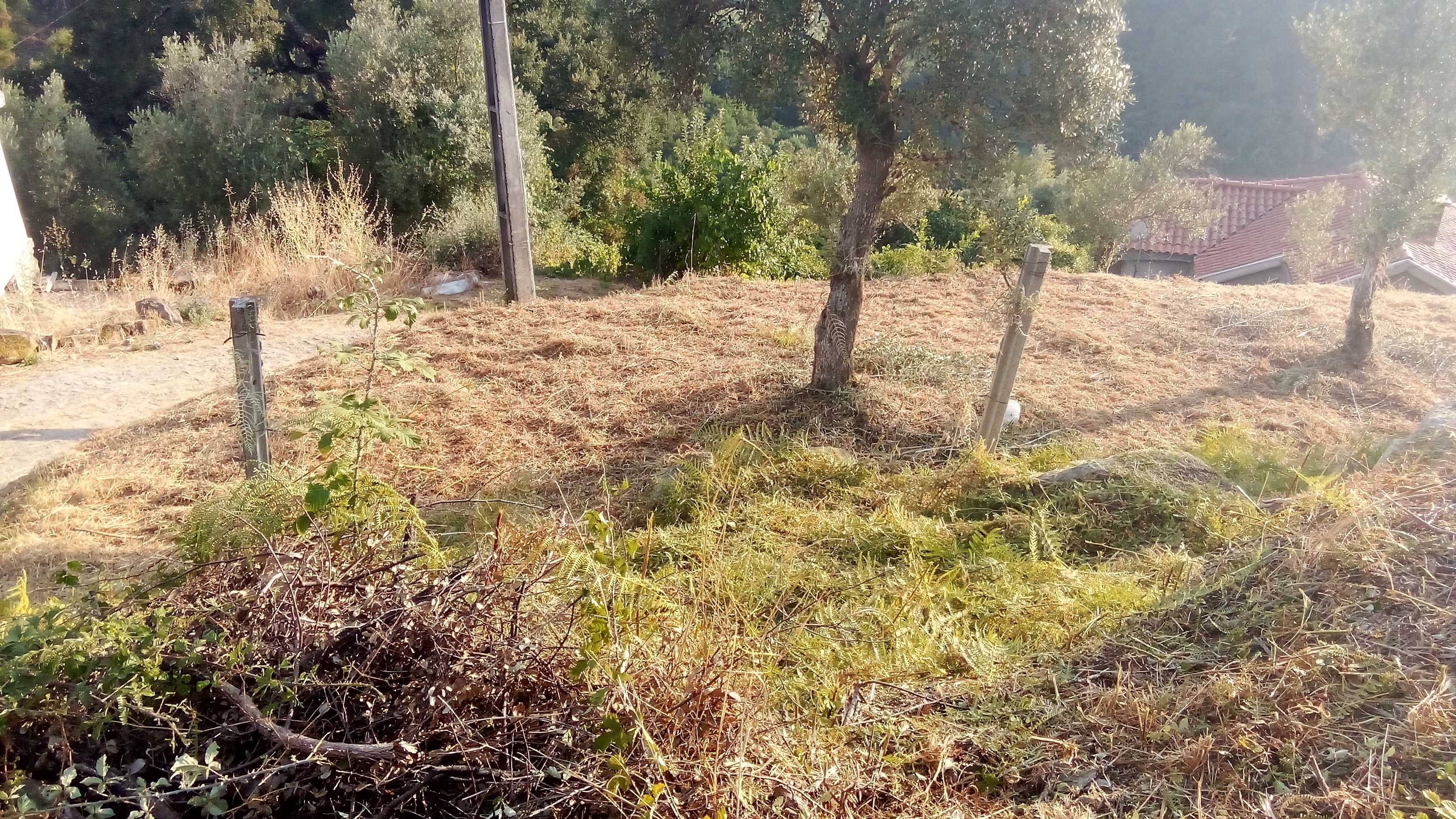 Limpeza de Terrenos