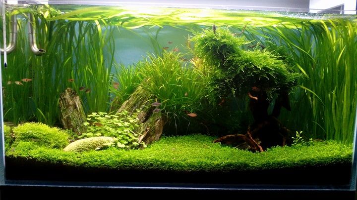 Swietlówka led 120 cm