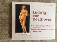 Ludwig van Beethoven, koncert na skrzypce