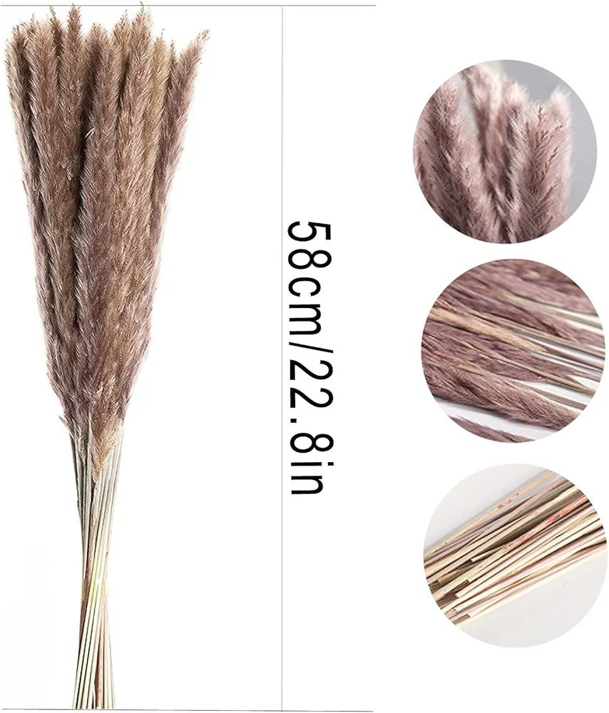 Naturalna trawa pampasowa 45szt ok. 55cm dekoracja boim