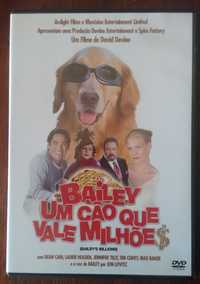 Filme DVD "Bailey - Um Cão que vale milhões"