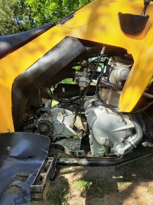 Can am ds250 Quad 250