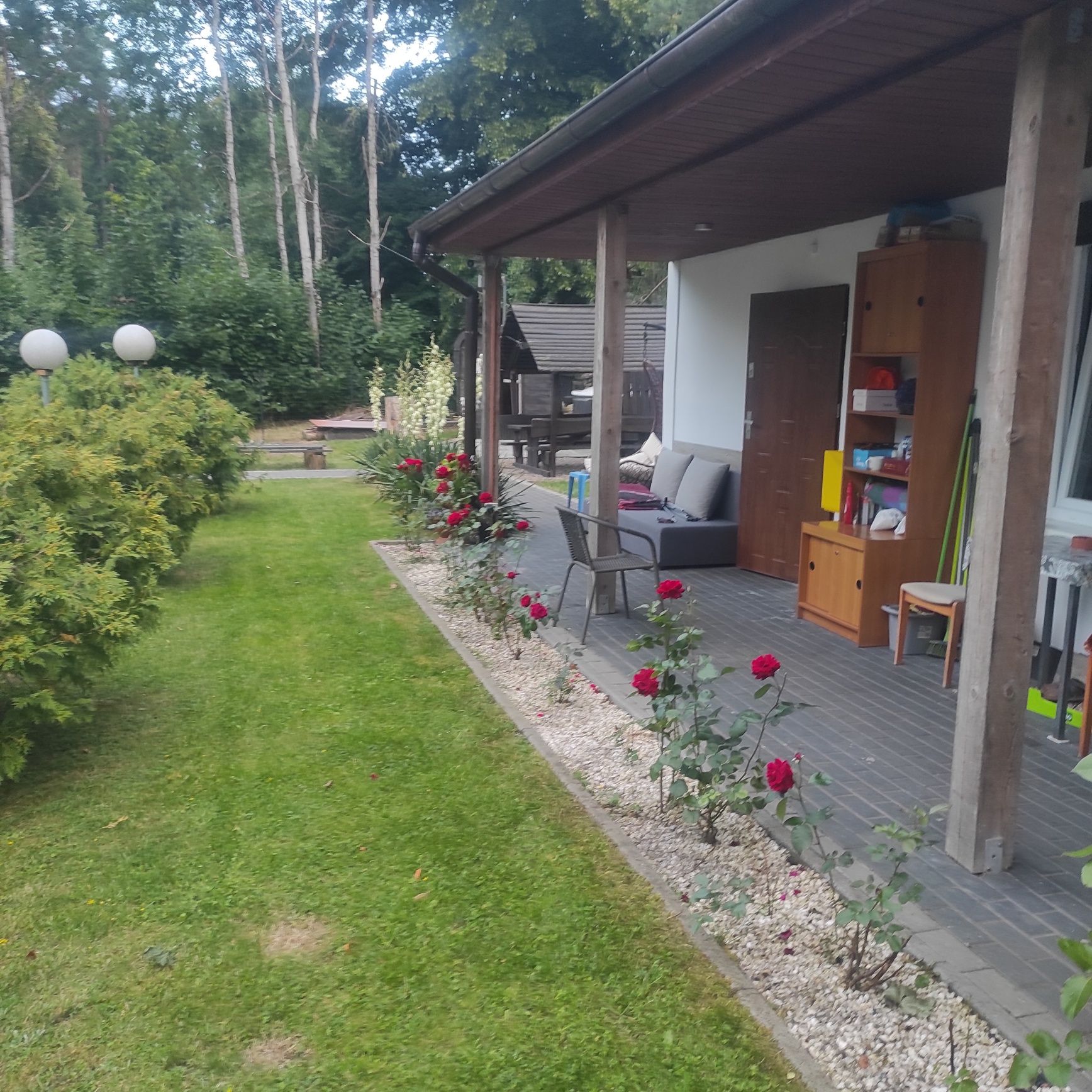Domki do wynajęcia