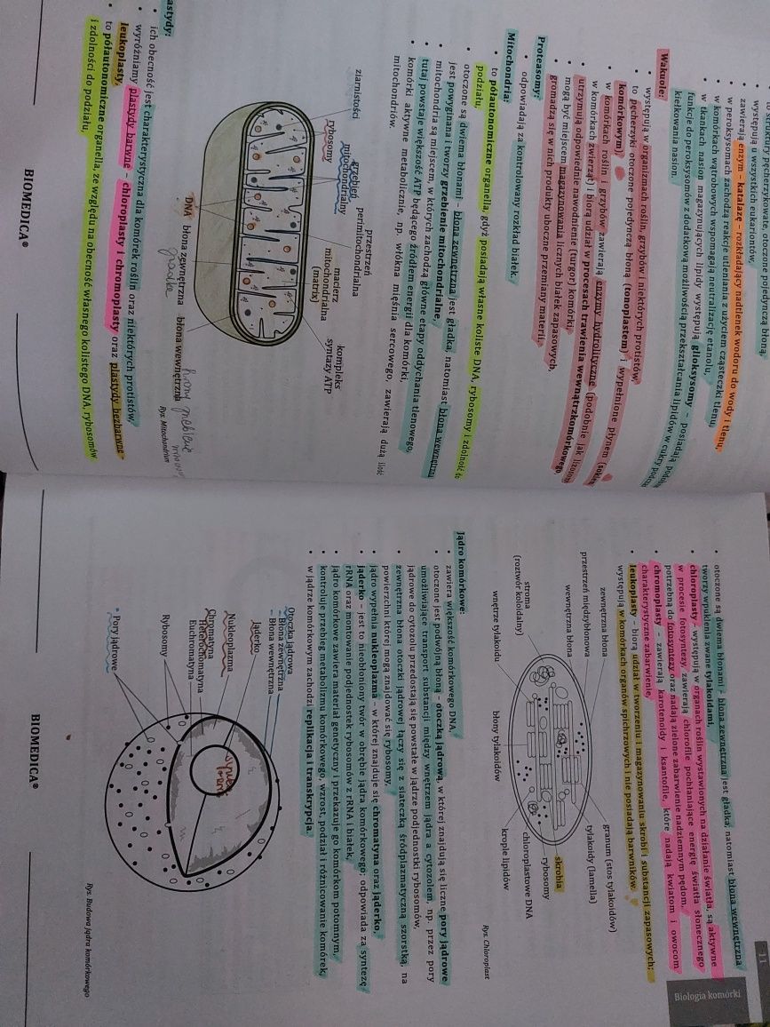 Biomedica zbiór zadań biologia 1