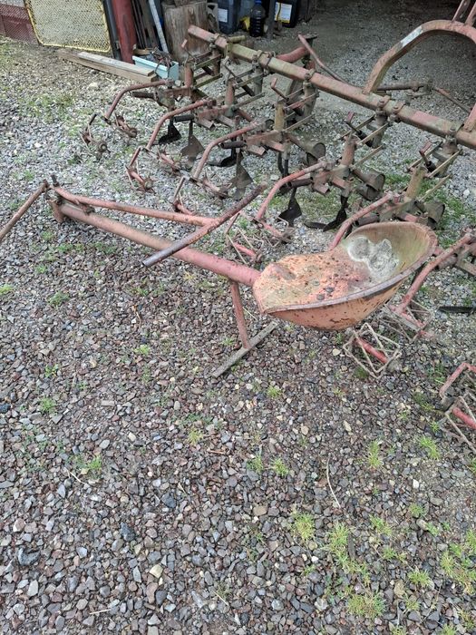 Wielorak planetka pielnik