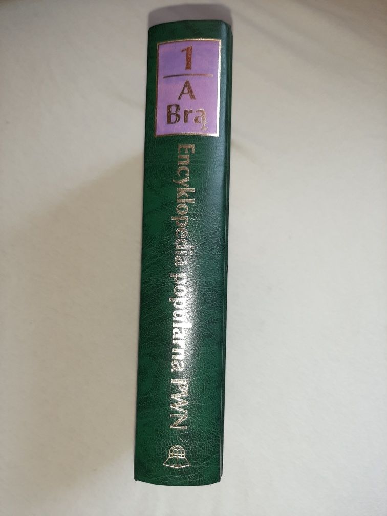 Encyklopedia popularna PWN