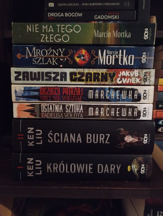Kolekcja książek fantasy ponad 200 część 2 (aktualizacja)