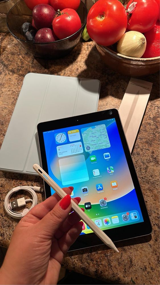Tablet iPad Apple Retina - iOS 17.7 - Touch ID - PROCREATE