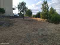 Terreno Para Construção  Venda em Lagares,Oliveira do Hospital