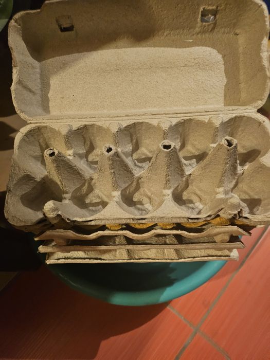 Wytłaczanki na jajka 12 sztuk zestaw