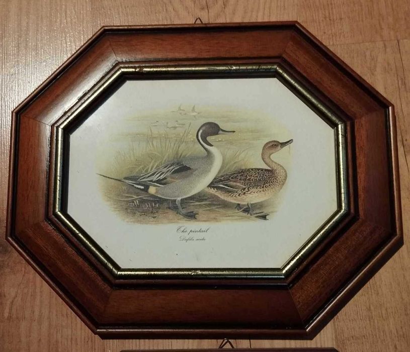 Vintage - quadros - tema patos