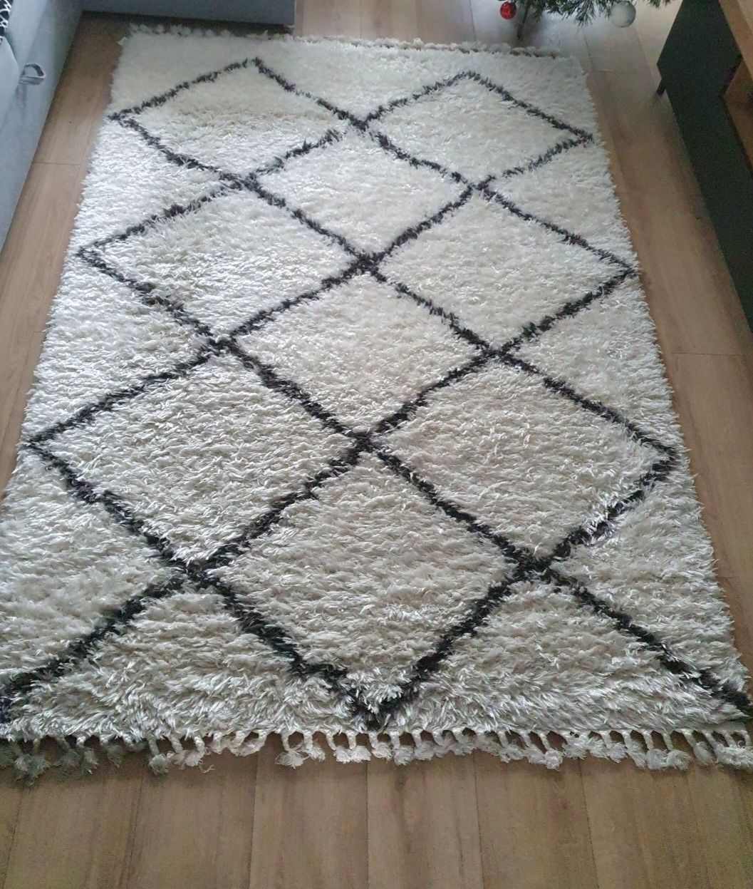 Dywan długowłosy Shaggy Ebba 230x160