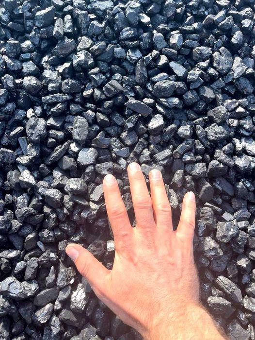 Купити пелети та брикети RUF, PINI KAY, NESTRO — сертифікована якість