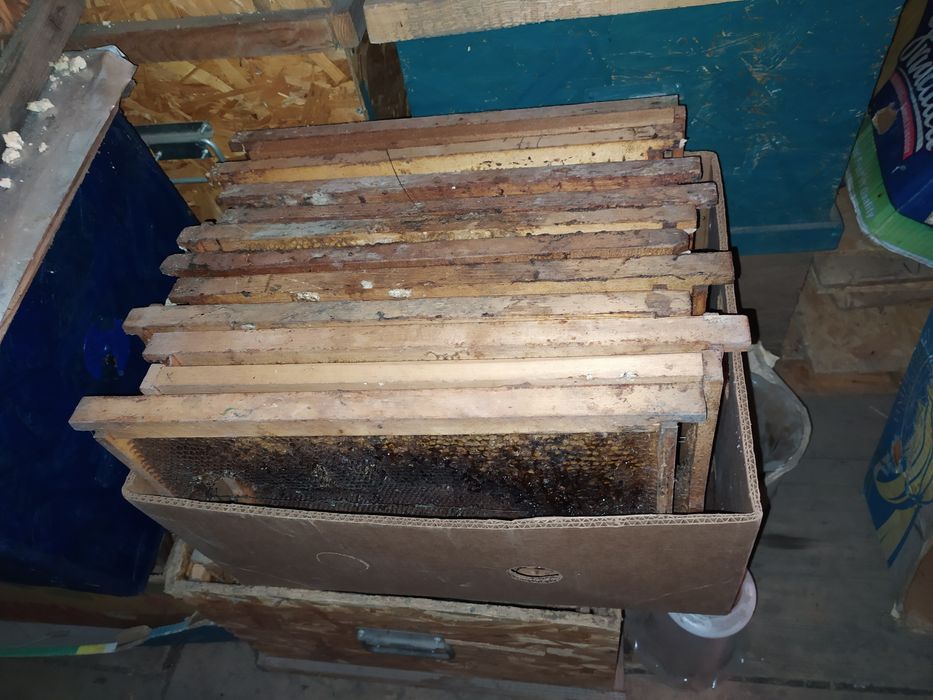 Улики из ОСБ и рамки.