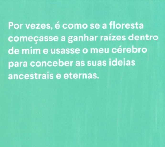 MARIEN HAUSHOFER «A Parede»