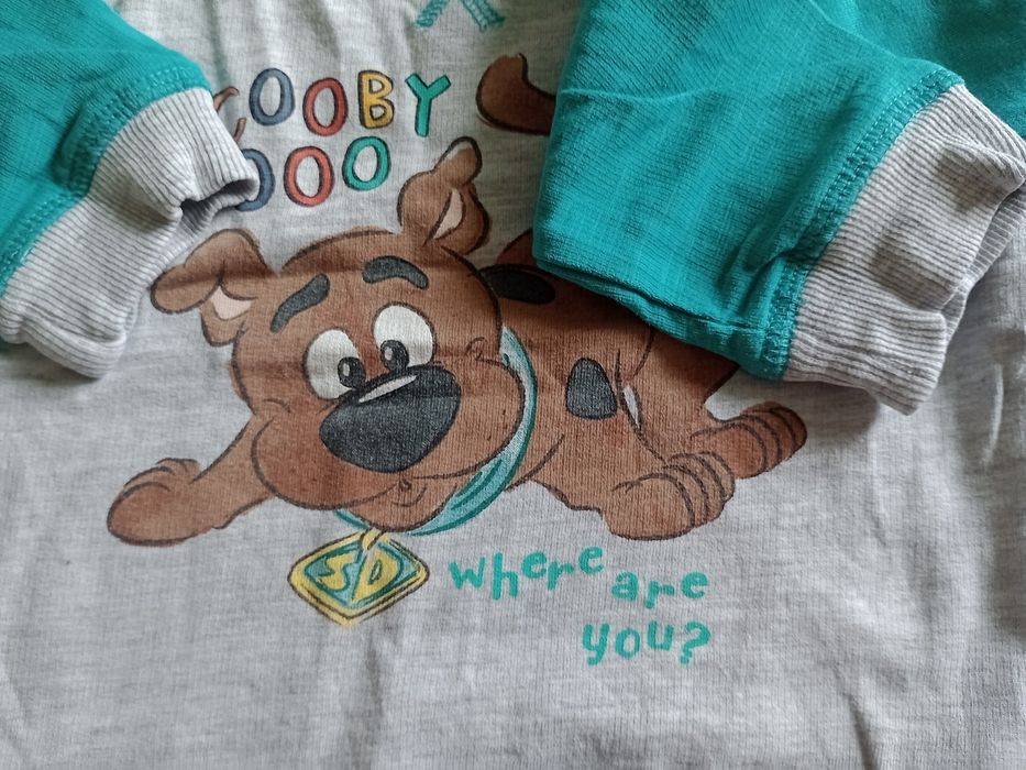 Bluza Scooby-Doo Smyk