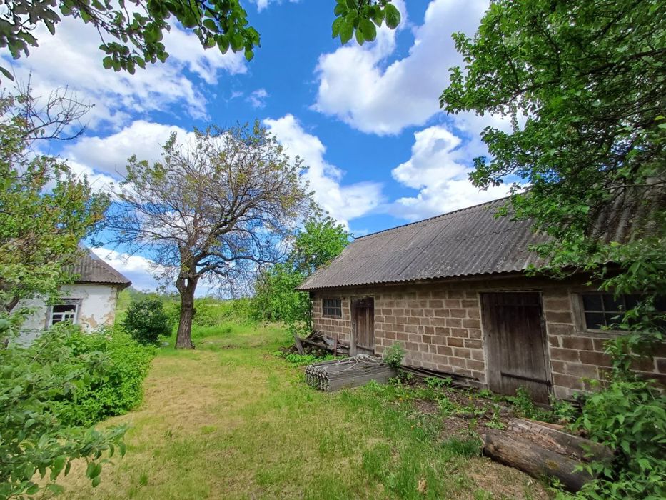 Продаж старого будинку на земельній ділянці 0,25 сот біля лісу