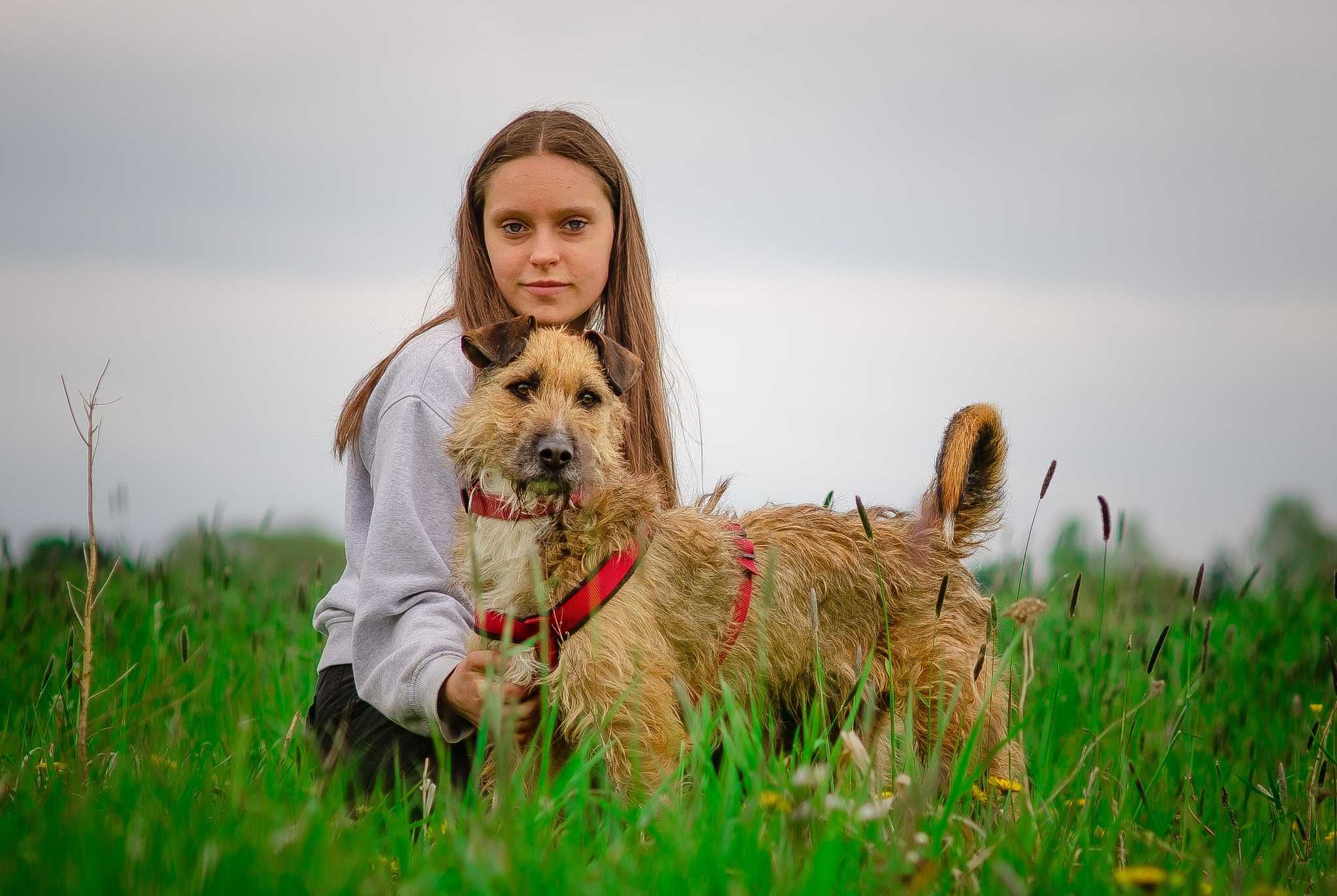 Benji -  Uwielbiam towarzystwo człowieka!