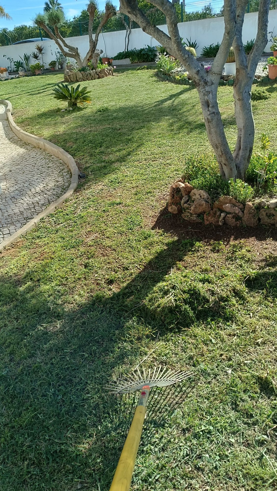 Serviços jardinagem