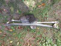 Mechanizm wycieraczek